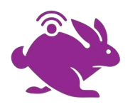 RABBIT INTERNET